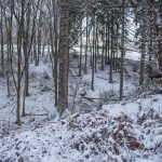 Pfeil und BogenWelt Dortmund Waldparcours, Bogenschießen Schützin mit Recurve Bogen im Winter