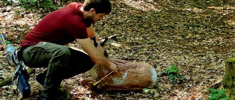 01613fa9-e77a-40a2-91c4-cf5c66910187